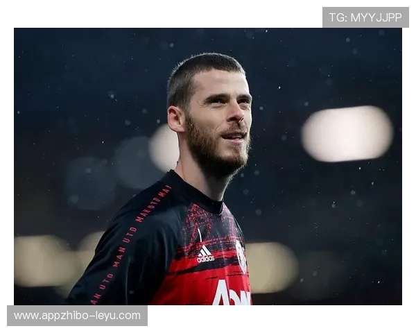 蒂姆·维阿是谁？解析这位美国队关键球员的成长与价值