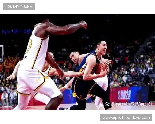 季后赛席位竞争白热化，球队争夺进入关键阶段