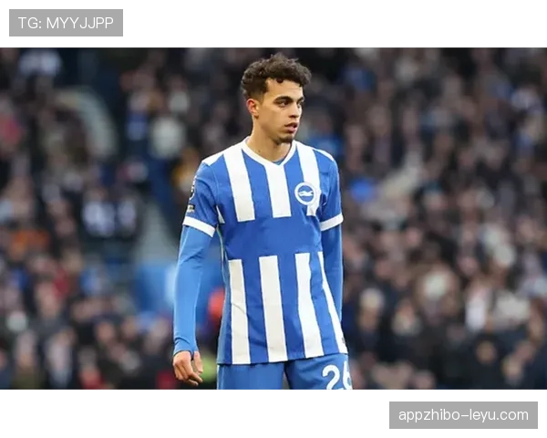 布莱顿力克热刺，状态回暖稳步提升英超竞争力