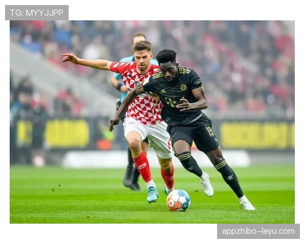 南美足球赛季革新策略显成效，球队表现与观众体验双双突破