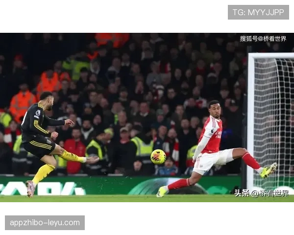 阿森纳球迷集会抗议管理层，呼吁改革重振球队荣耀